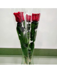 Rose Eternelle Rouge 2