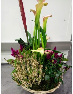 Panier de plantes extérieur