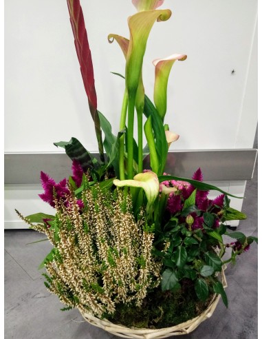 Panier de plantes extérieur
