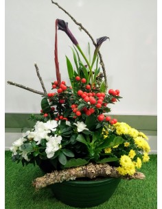 Coupe de plantes douces...