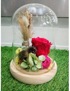 Rose Eternelle sous cloche