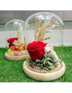 Rose Eternelle sous cloche 2