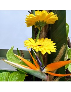 Composition Exotique 2