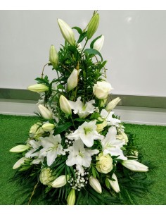 Coussin Hauteur Blanc