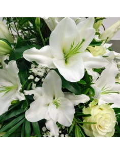 Coussin Hauteur Blanc 2