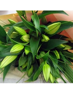 Bouquet Lys Blanc Parfummé