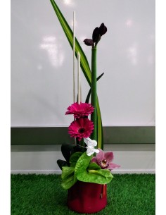 Composition Papillon